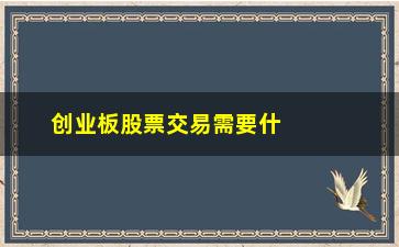 “创业板股票交易需要什么意思(股票交易里面T